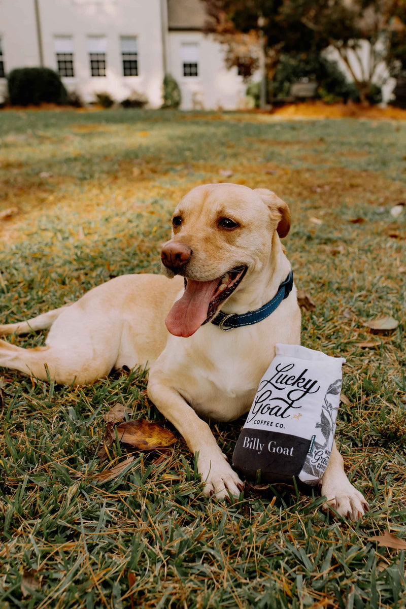 Dog Plush – Lucky Goat Coffee