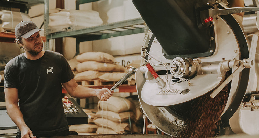 News-Lucky Goat’s Roasting and Cupping Team-Lucky Goat Coffee