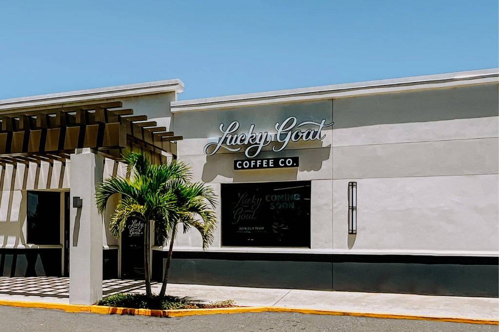 Lucky Goat Coffee